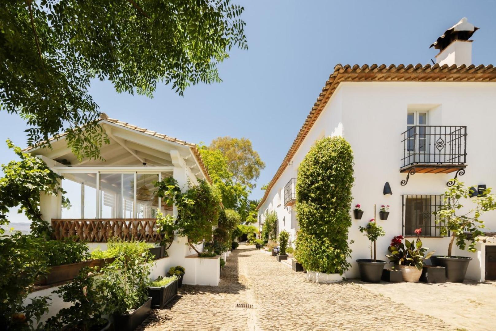 Casa Rural Finca La Morera 阿里亚特 外观 照片